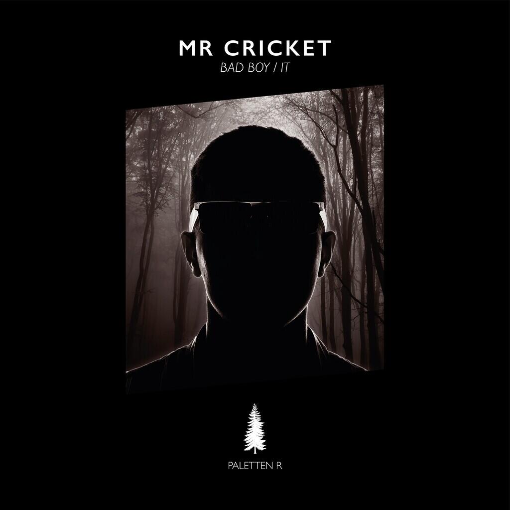 Mr Cricket - Bad Boy/It kommer den 24 november